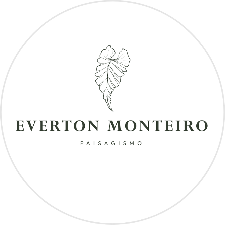 EVERTON MONTEIRO